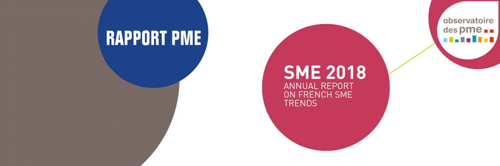 Annual report on SME trends, 2018